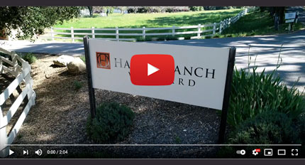 Halter Ranch Winery Contruction Video - Wine Cave Contruction Company - Winery Construction - General Contractor - JW Design & Construction